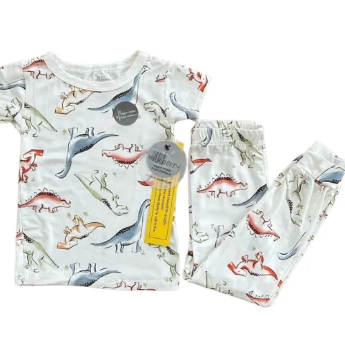 Dinosaur Short Sleeve Pajama Set