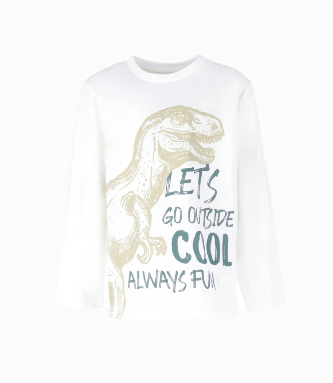 Polera Niño Con Dinosaurio