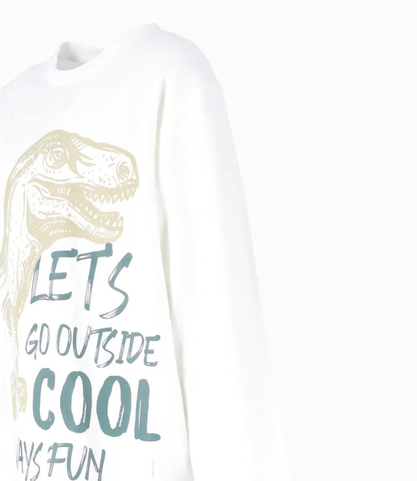 Polera Niño Con Dinosaurio
