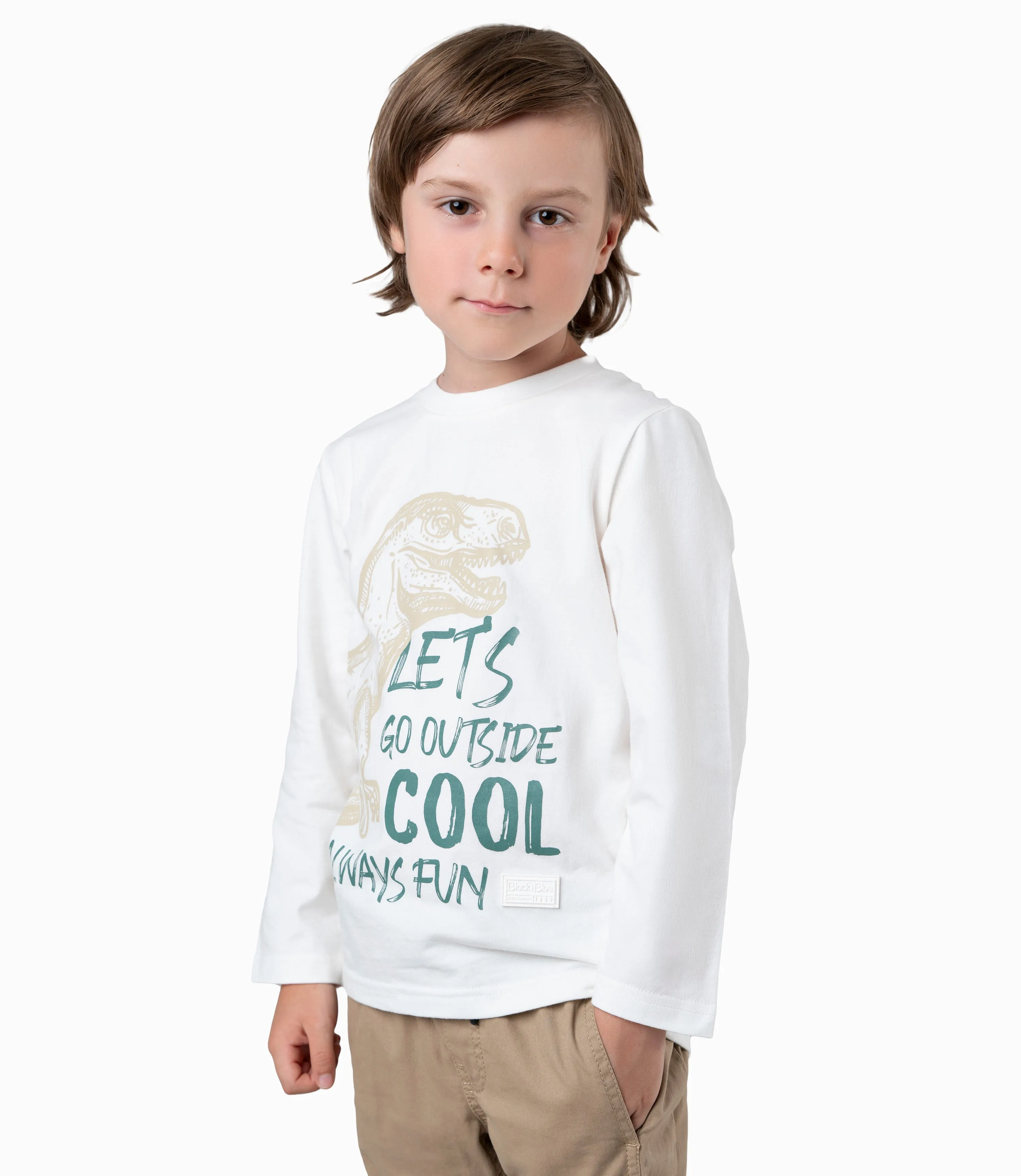 Polera Niño Con Dinosaurio